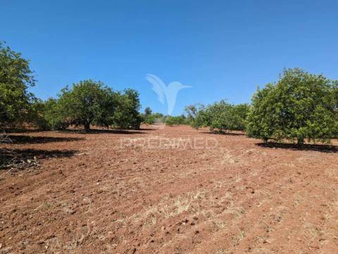 Monte em castro marim, 36 ha, 1125m2 urbano, premium