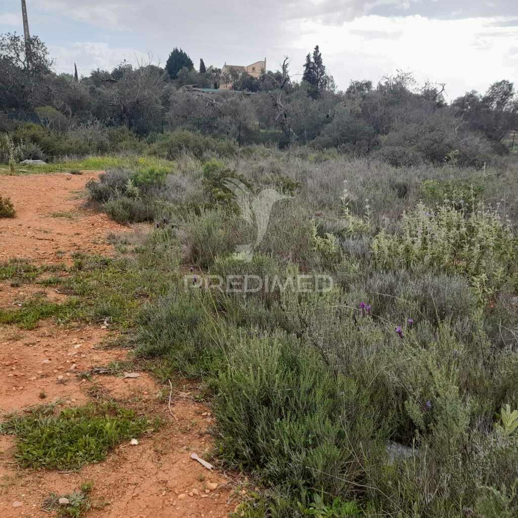 Terreno rusticocom 1960m2 ao lado da estrada m516