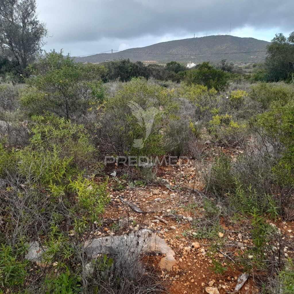 Terreno rusticocom 1960m2 ao lado da estrada m516