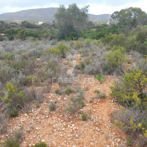 Terreno rusticocom 1960m2 ao lado da estrada m516