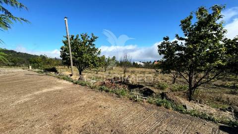 Terreno 12.565m2 com projecto aprovado na calheta - ilha da madeira