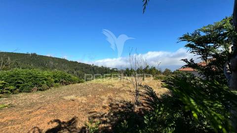 Terreno 12.565m2 com projecto aprovado na calheta - ilha da madeira