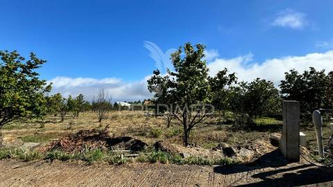 Terreno 12.565m2 com projecto aprovado na calheta - ilha da madeira