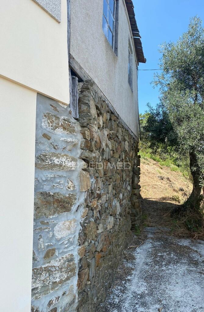 Douro vinhateiro