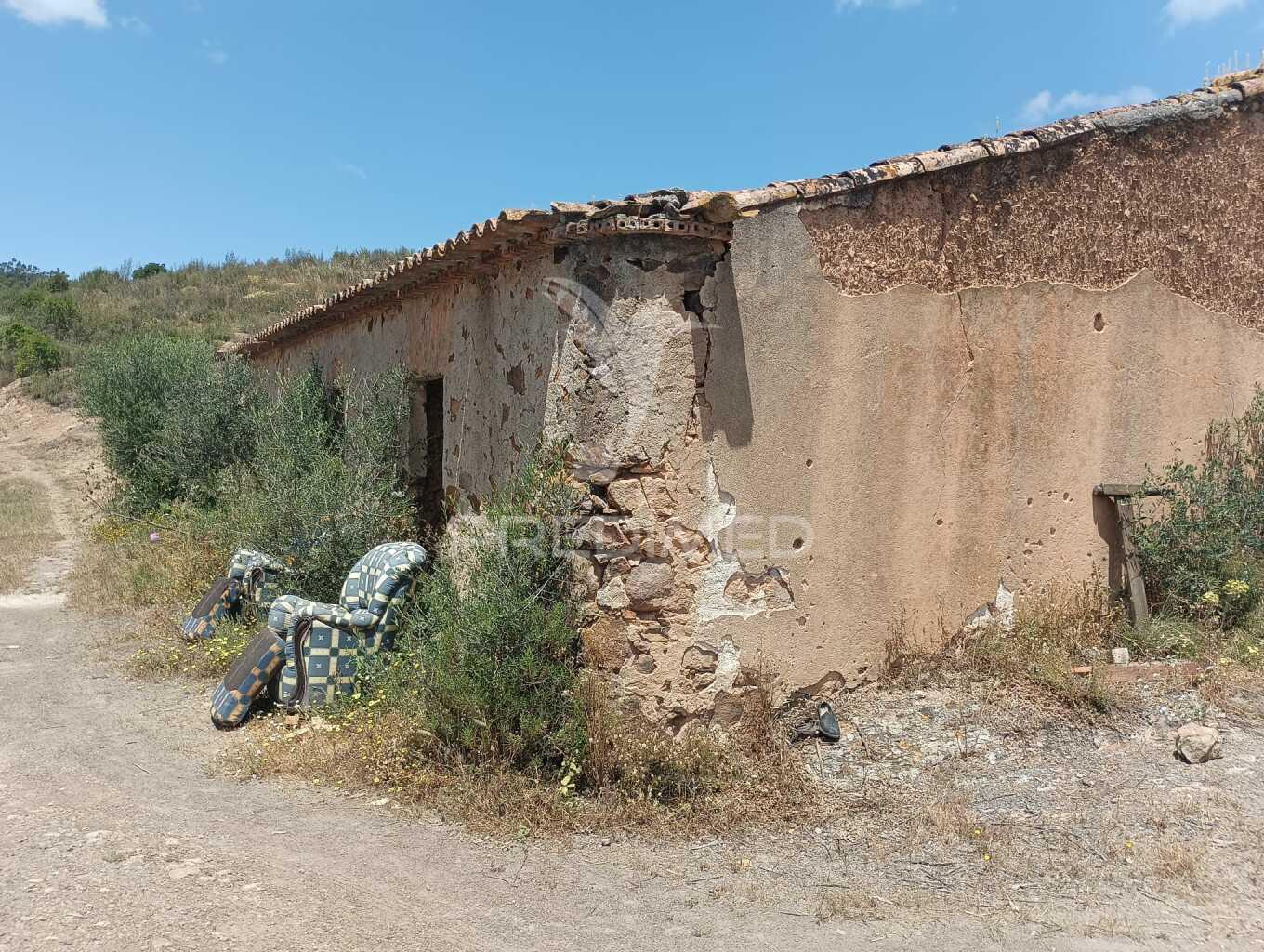 Ruina geminada no tojeiro