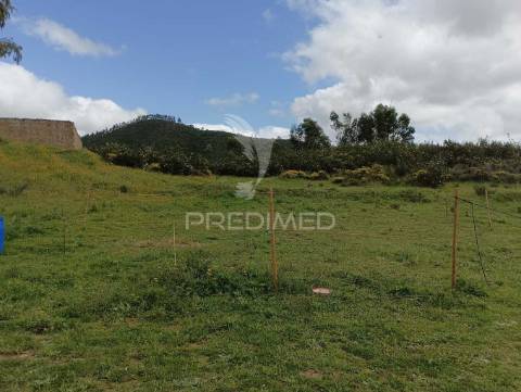 Ruina geminada no tojeiro