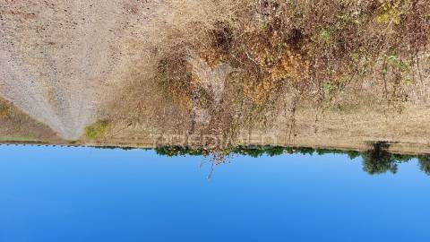 Terreno agricola com oliveiras