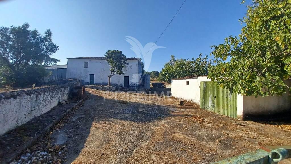 Quinta rural em zona calma e tranquila