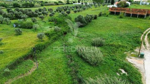 Terreno urbano localizado em vale de figueira / santarém