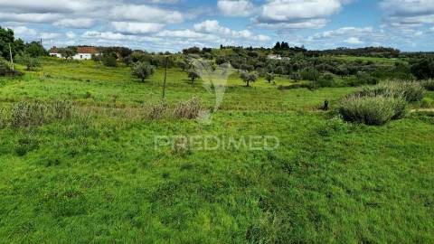 Terreno urbano localizado em vale de figueira / santarém