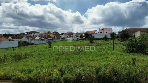 Terreno urbano localizado em vale de figueira / santarém
