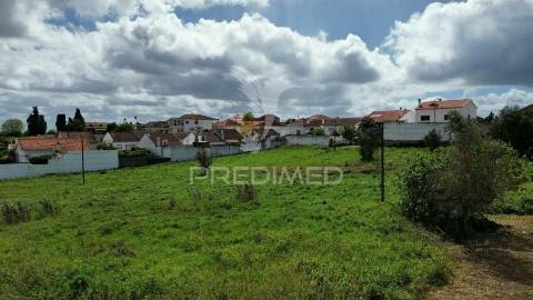 Terreno urbano localizado em vale de figueira / santarém