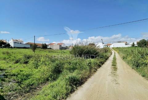 Terreno urbano localizado em vale de figueira / santarém
