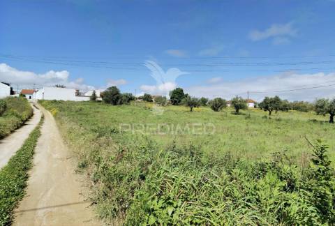 Terreno urbano localizado em vale de figueira / santarém