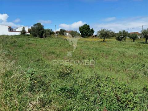 Terreno urbano localizado em vale de figueira / santarém
