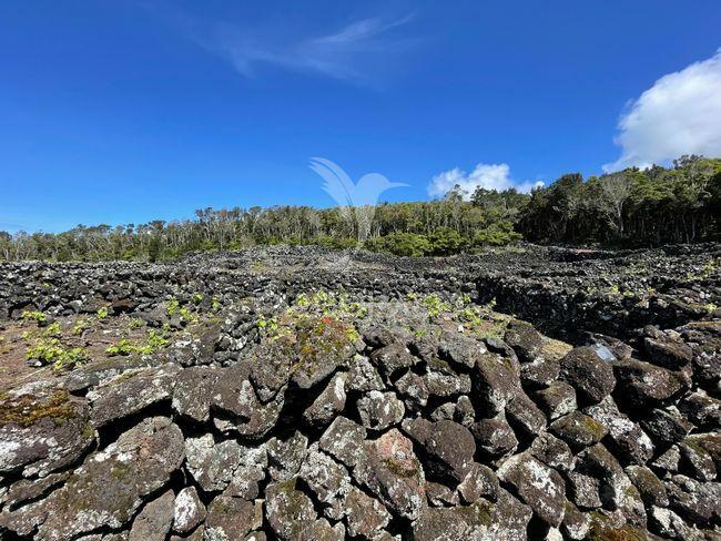 Terreno à venda em candelária, madalena do pico