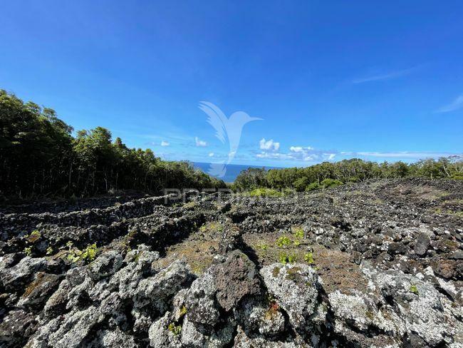 Terreno à venda em candelária, madalena do pico