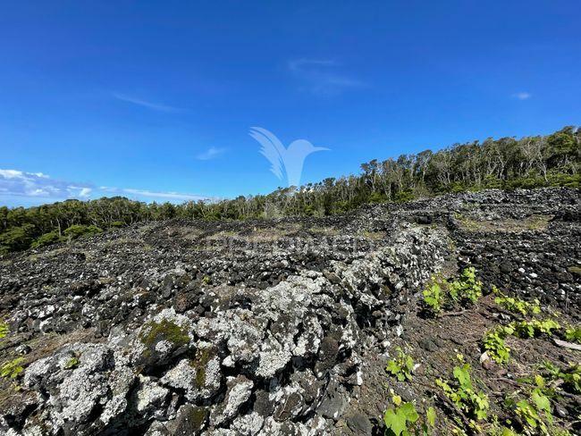 Terreno à venda em candelária, madalena do pico