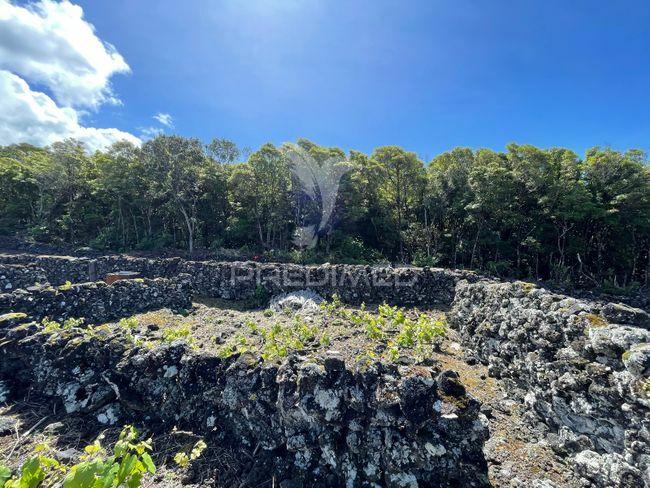 Terreno à venda em candelária, madalena do pico
