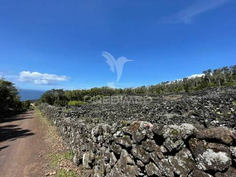 Terreno à venda em candelária, madalena do pico