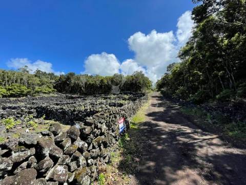 Terreno à venda em candelária, madalena do pico