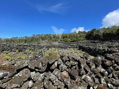 Terreno à venda em candelária, madalena do pico