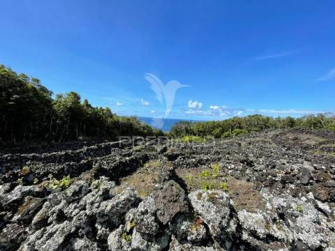 Terreno à venda em candelária, madalena do pico