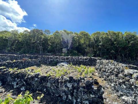 Terreno à venda em candelária, madalena do pico
