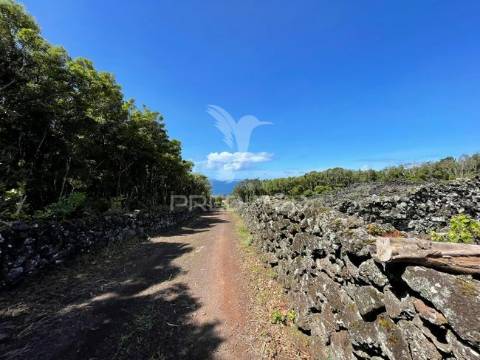 Terreno à venda em candelária, madalena do pico