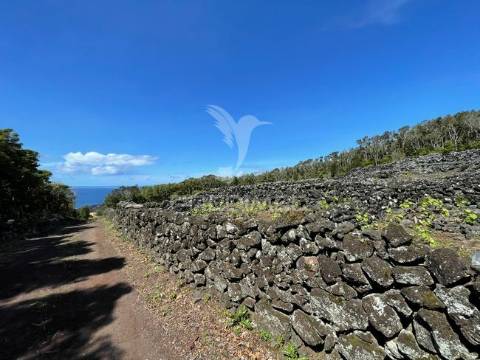 Terreno à venda em candelária, madalena do pico