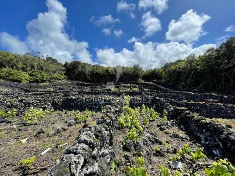 Terreno à venda em candelária, madalena do pico