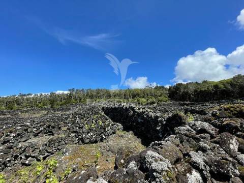 Terreno à venda em candelária, madalena do pico