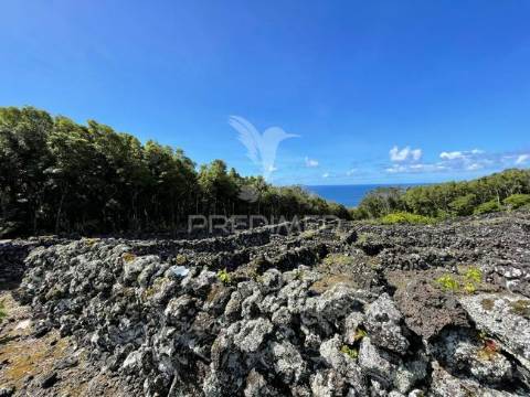 Terreno à venda em candelária, madalena do pico