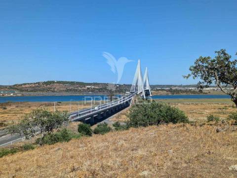 Quinta à beira do guadiana, com 25ha, com projecto de hotel