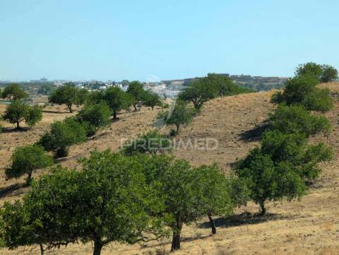 Quinta à beira do guadiana, com 25ha, com projecto de hotel