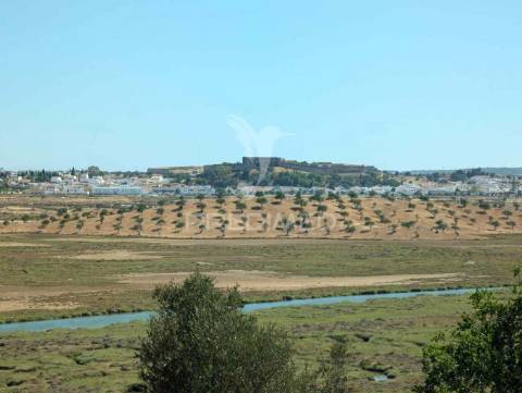 Quinta à beira do guadiana, com 25ha, com projecto de hotel
