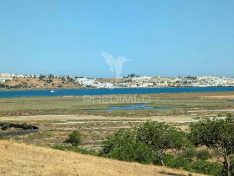 Quinta à beira do guadiana, com 25ha, com projecto de hotel