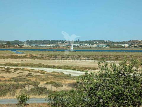 Quinta à beira do guadiana, com 25ha, com projecto de hotel