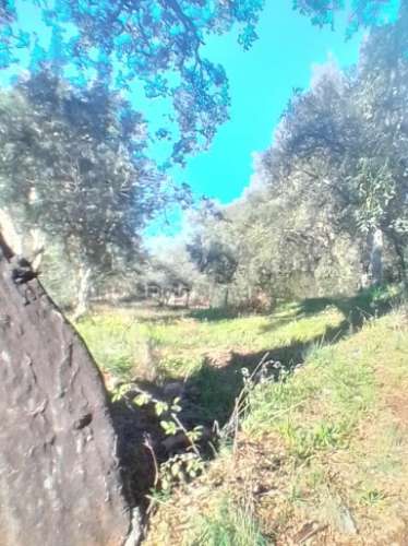 Terreno rustico em s. julião
