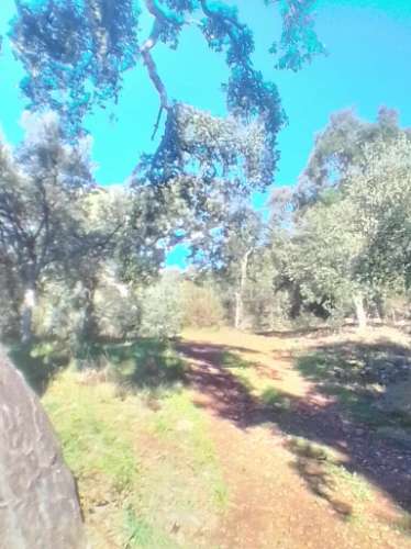 Terreno rustico em s. julião