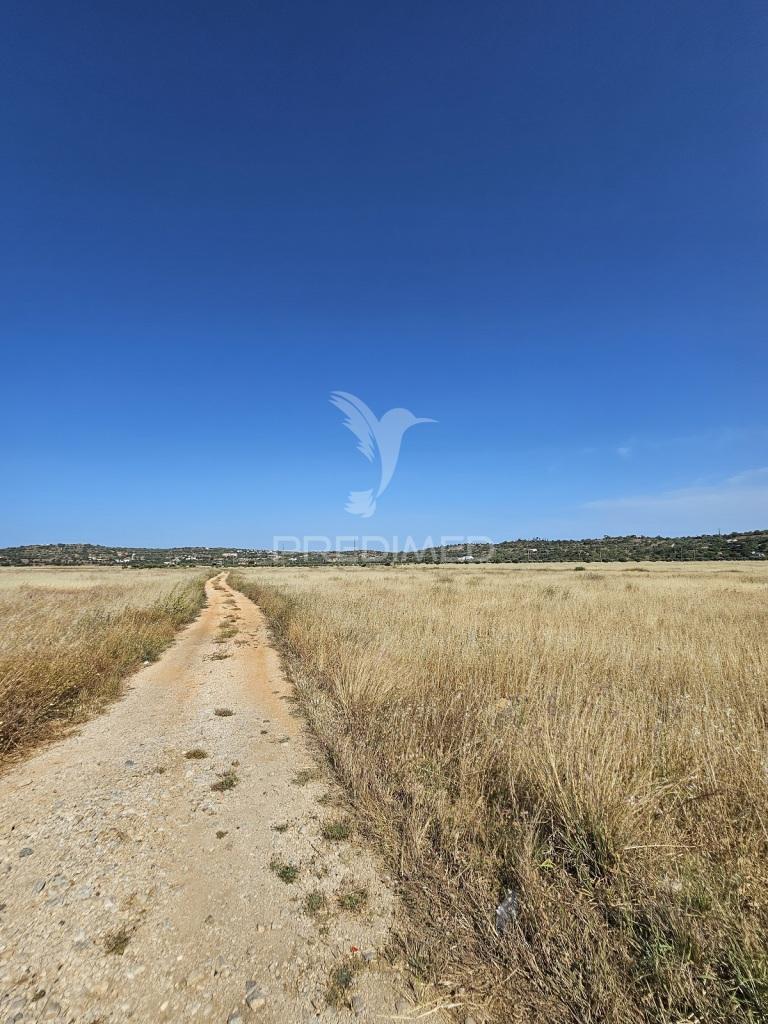 Terreno rustico com 8980 m2 situado  em tunes
