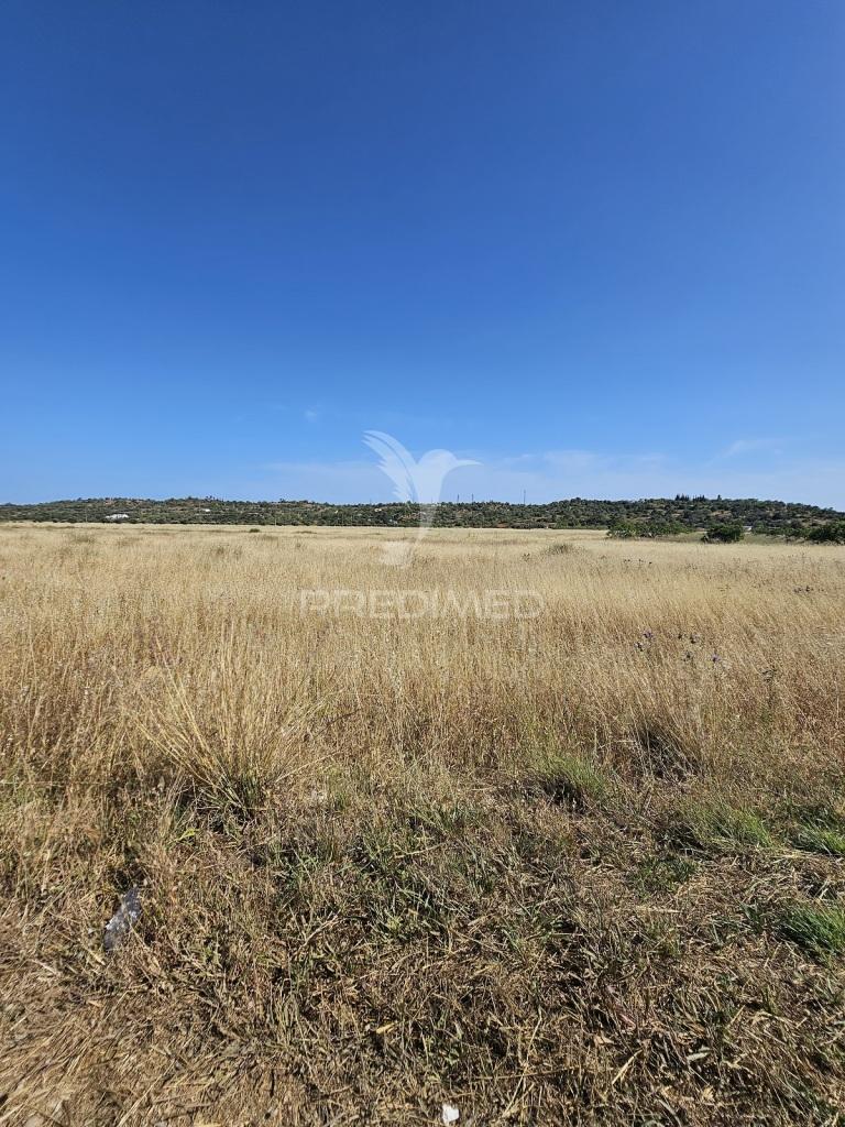 Terreno rustico com 8980 m2 situado  em tunes