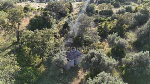 Terreno rústico  com furo