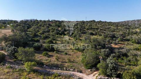 Terreno rústico  com furo