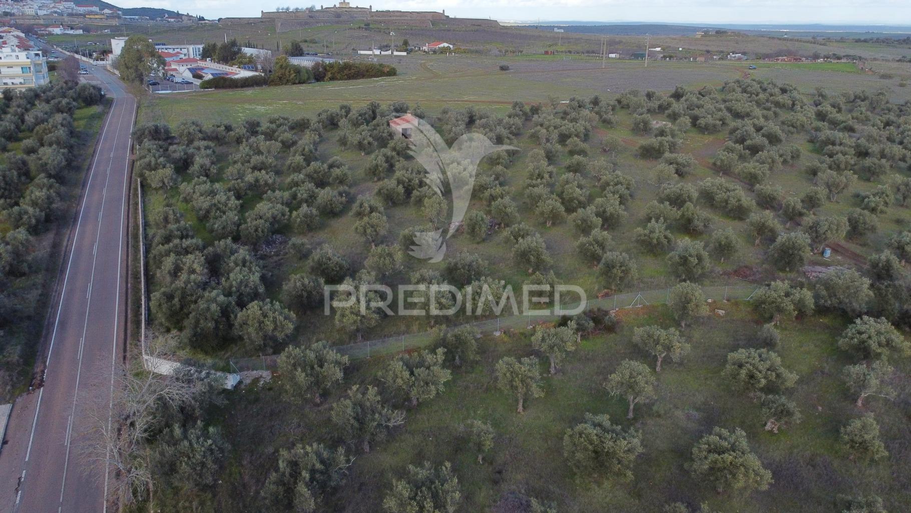 Terreno urbanização carvalha elvas