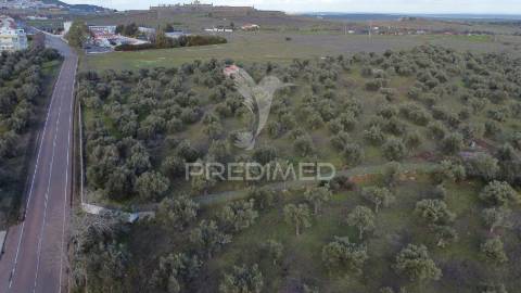 Terreno urbanização carvalha elvas