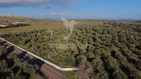Terreno urbanização carvalha elvas