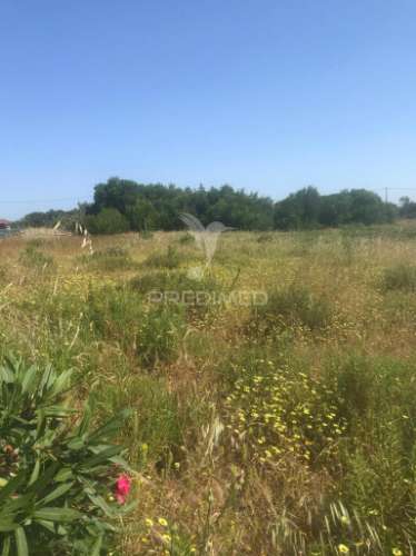 Terreno rústico/ urbano , 305,50m2 - vila nova de mil fontes