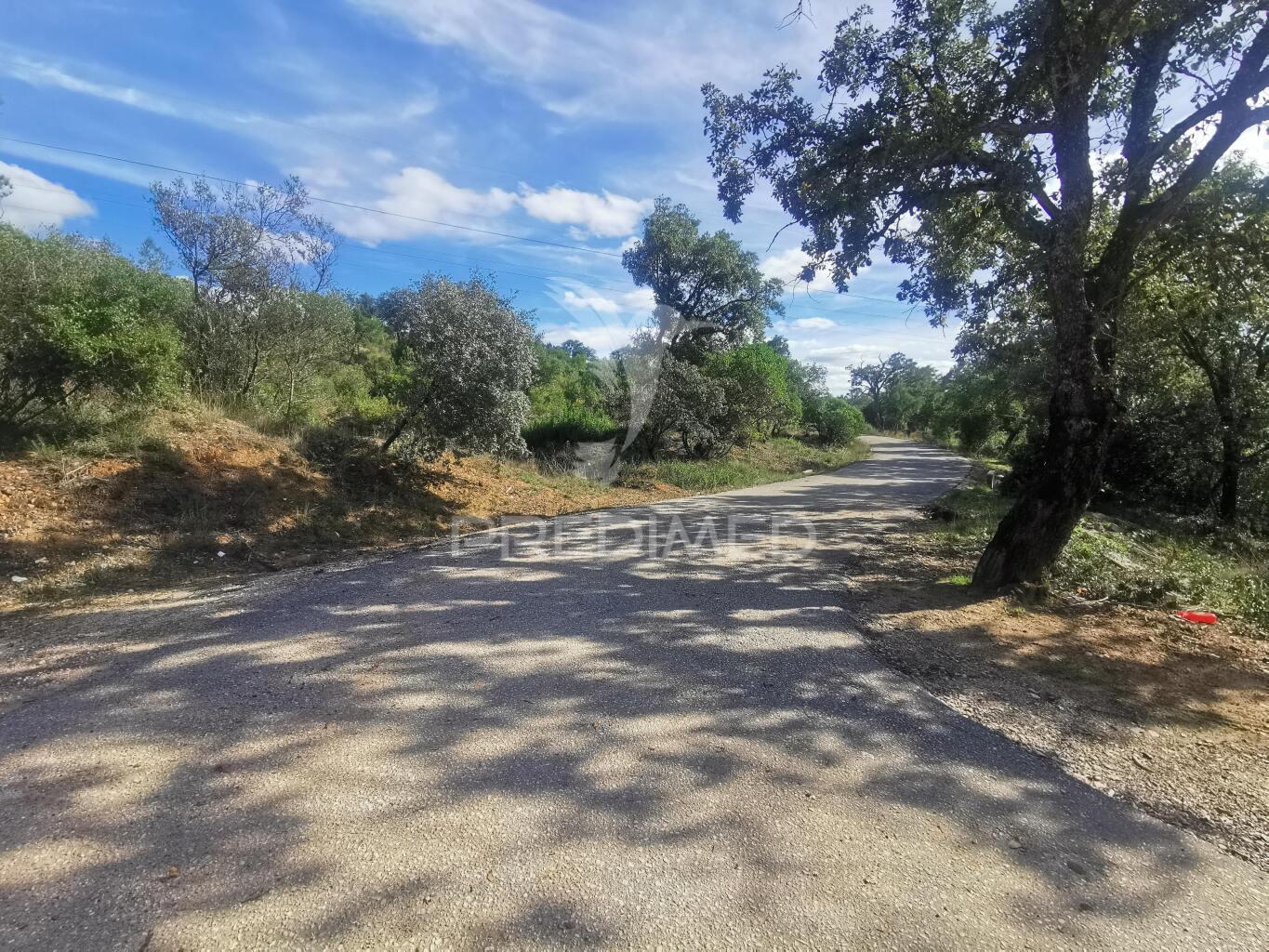 Terreno rustico