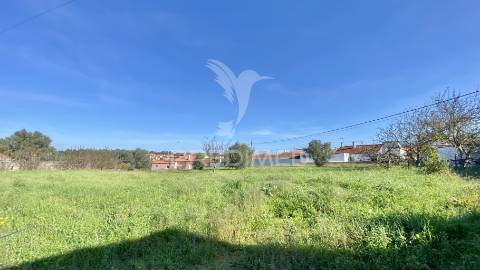 Terreno urbanizável (índice construção 30%) a 5 minutos rio maior